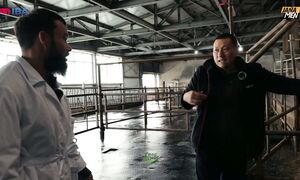 ОТ ФЕРМЫ ДО МАГАЗИНА  ПОЛНЫЙ ПУТЬ МОЛОКА  JANAMEN x Село Лесное