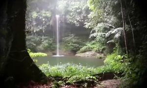 Meditation music . Водопад   Пение птиц  журчание леса.  Рекомендуется перед сном.