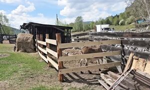 ОБЗОР ДЕРЕВЕНСКОГО УЧАСТКА В МАЕ | ЧЕМ ЗАКОНЧИЛАСЬ СТРОЙКА ТЕРАССЫ