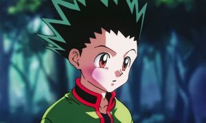 Hunter x Hunter (1999) - 24 [DVD 1080p x264 AAC AC3]