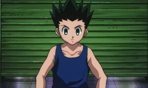 Hunter x Hunter (1999) - 50 [DVD 1080p x264 AAC AC3]