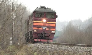 Тепловоз 2ТЭ116-933 на ст. Выру _ 2TE116-933 at Võru station