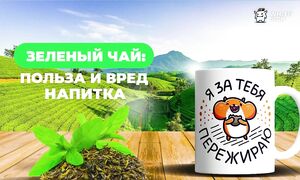 Зелёный  чай —  Что говорят  врачи