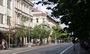 Вильнюс небоскрёбы, набережная и трущобы, Старый Город и Ужупис, панельные и современные кварталы