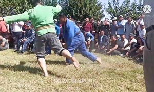Zoxid polvon kurashi 2021 yil Jarqurgʻon