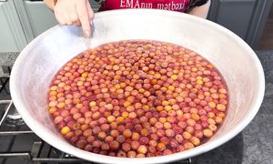 Gilas Mürəbbəsi | Elmira Gadirova