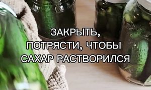 Рецепт на миллион! маринованные огурцы