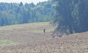 ДА!!!! Заработал НА НАХОДКАХ! Немец потерял, а я НАШЁЛ!