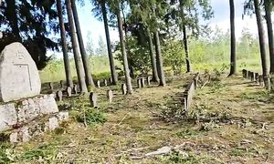 Жуткая находка в лесу.. Не знал, что оно там есть...