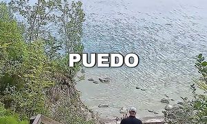 ASI ES VIAJAR CON PERRO EN EUROPA