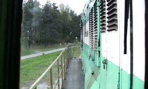 Лийва - Юлемисте на тепловозе ЧМЭ3 / From Liiva to Ülemiste on CME3 locomotive