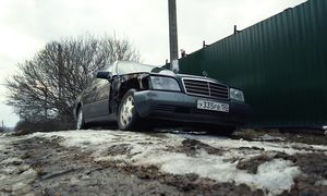 Жизнь Синдиката: Я нашёл ВЕДРО года! Кабан за 35к