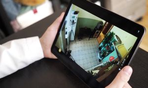 Mamix Lite: ПУГАЮ СОБАКУ, ВО ВРЕМЯ ТОГО, КАК ОНА ВОРУЕТ ЕДУ СО СТОЛА!