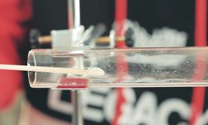 GopherVid: МЫ ПРИГОТОВИЛИ САМУЮ ДОРОГУЮ ВОДУ!