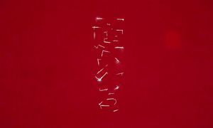 gimnasticeskii samurai PV