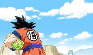 Dragon Ball Super 1x47