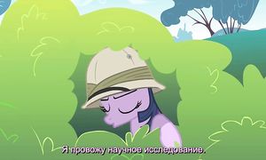 MLP 1x15