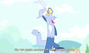 MLP 4x11