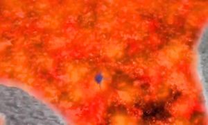 Наруто фильм 2 sub