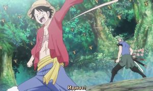 One Piece 765