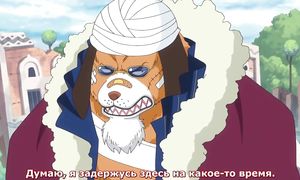 One Piece 776