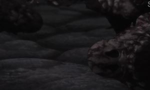 Berserk 3x08