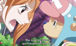 One Piece 792
