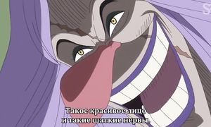 One Piece 796