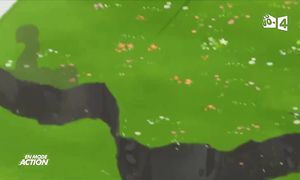 Wakfu 3x10