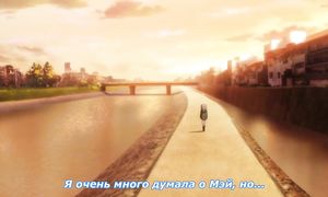 Citrus 1x12
