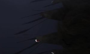 Golden Kamuy 1x03
