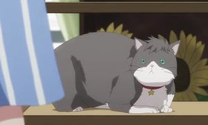 Tada-kun wa Koi wo Shinai 1x05