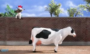 Robot Chicken 9x16
