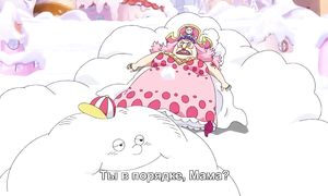 One Piece 843