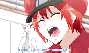 Hataraku Saibou 1x02