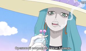 One Piece 849