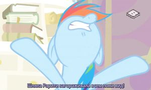 MLP 8x17
