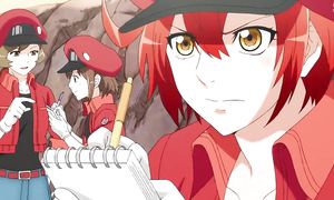 Hataraku Saibou 1x08