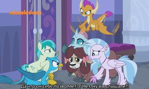 MLP 8x25-26