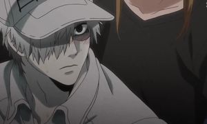 Hataraku Saibou 1x11