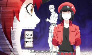 Hataraku Saibou 1x12