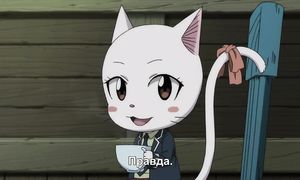 Fairy Tail 3x04