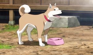 Kaze ga Tsuyoku Fuiteiru 1x05