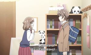 Seishun Buta Yarou wa Bunny Girl Senpai no Yume wo Minai 1x12