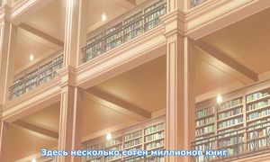 Beelzebub-jou no Okinimesu mama 1x05