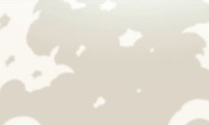 Black Clover 1x74