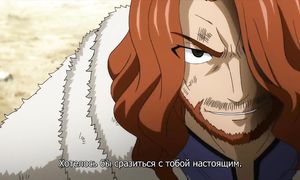 Fairy Tail 3x29