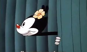 Animaniacs s01e27