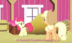 MLP 9x10