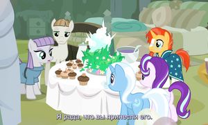 MLP 9x11